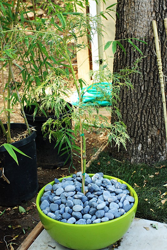 landscaping granite bay ca, landscape design, outdoor living, landscaper roseville ca