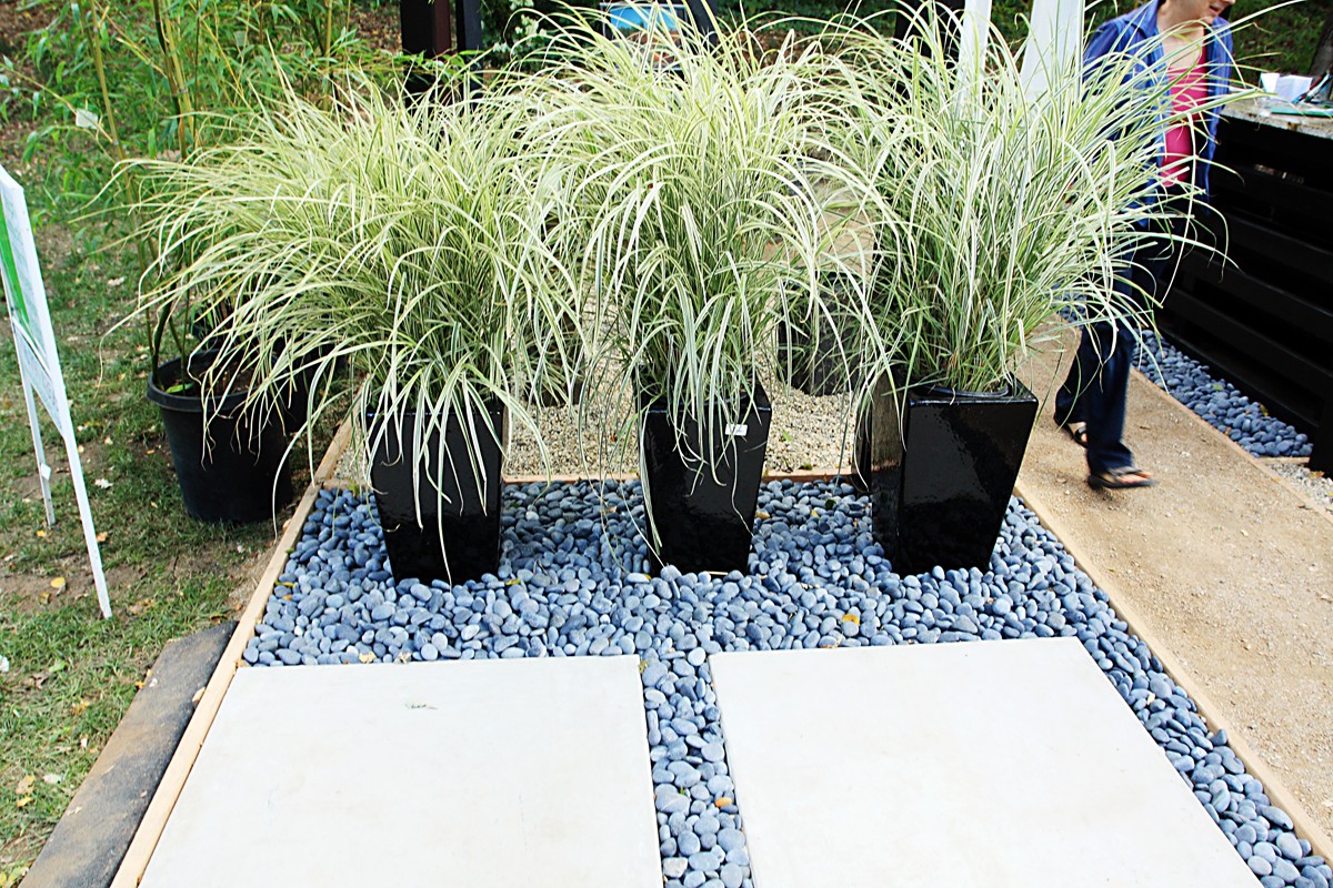 AUBURN FALL HOME SHOW Verde Creations