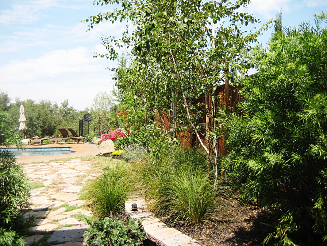 landscaping granite bay ca, landscape design, outdoor living, landscaper roseville ca
