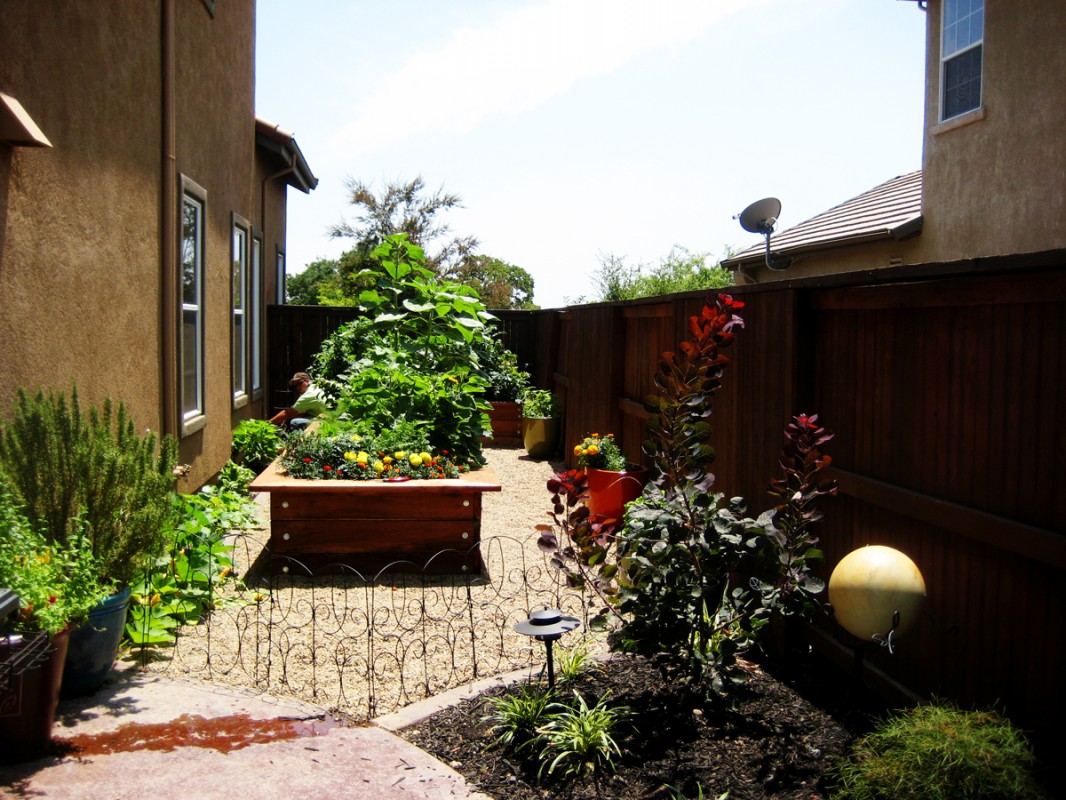 landscaping granite bay ca, landscape design, outdoor living, landscaper roseville ca