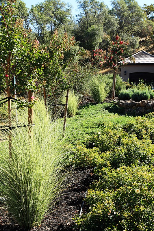 landscaping granite bay ca, landscape design, outdoor living, landscaper roseville ca