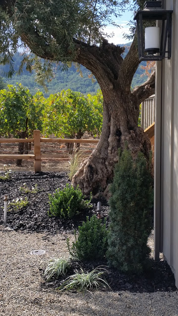 landscaping granite bay ca, landscape design, outdoor living, landscaper roseville ca