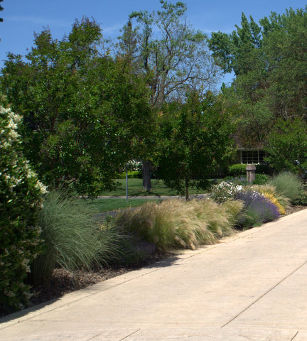 landscaping granite bay ca, landscape design, outdoor living, landscaper roseville ca
