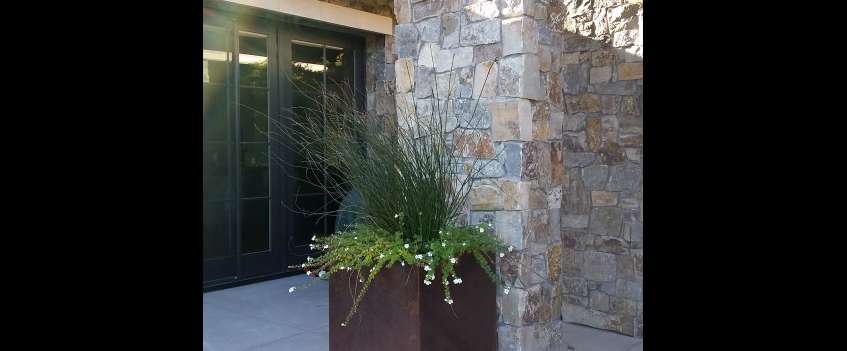 landscaping, landscape design, landscaper