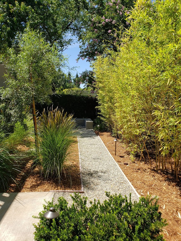 landscape design, outdoor living area, Landscaping