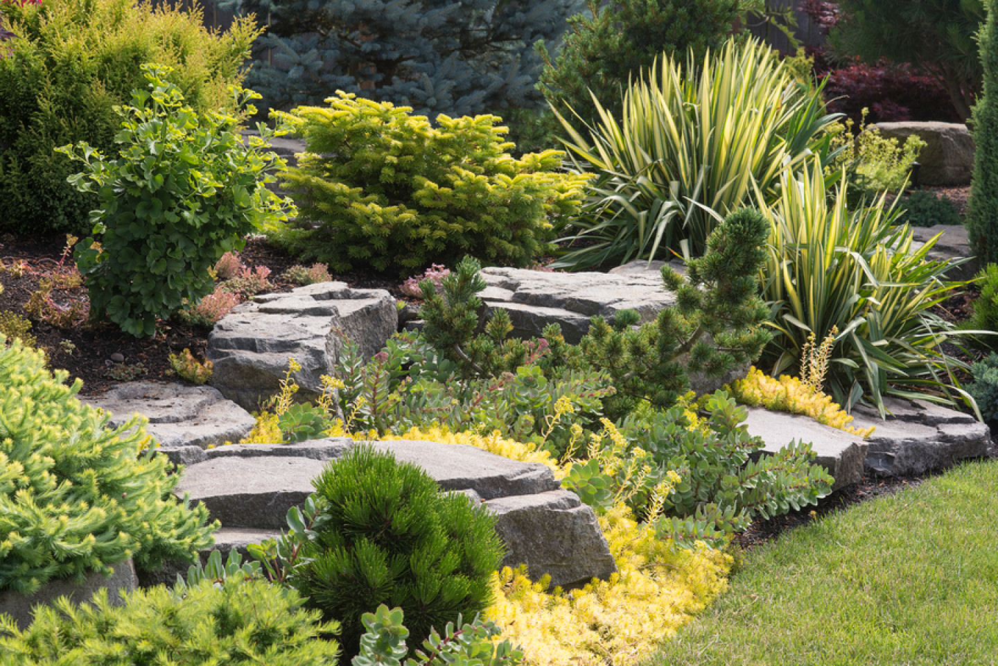 Landscaping, Landscape Design Roseville, CA Verde Creations