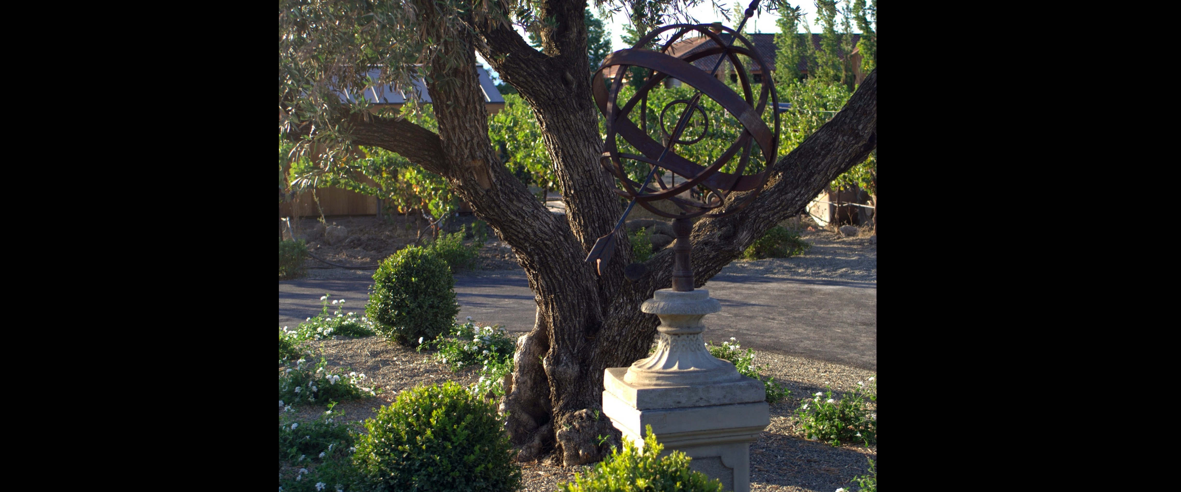 landscaping granite bay ca, landscape design, outdoor living, landscaper roseville ca